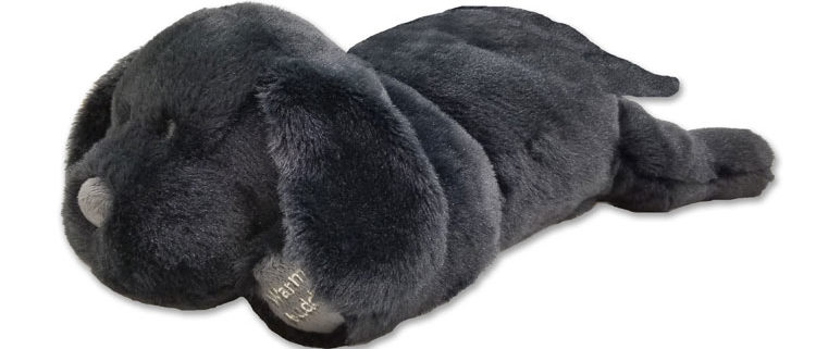 Large Labrador Black