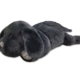 Small Puppy Black (8012B)